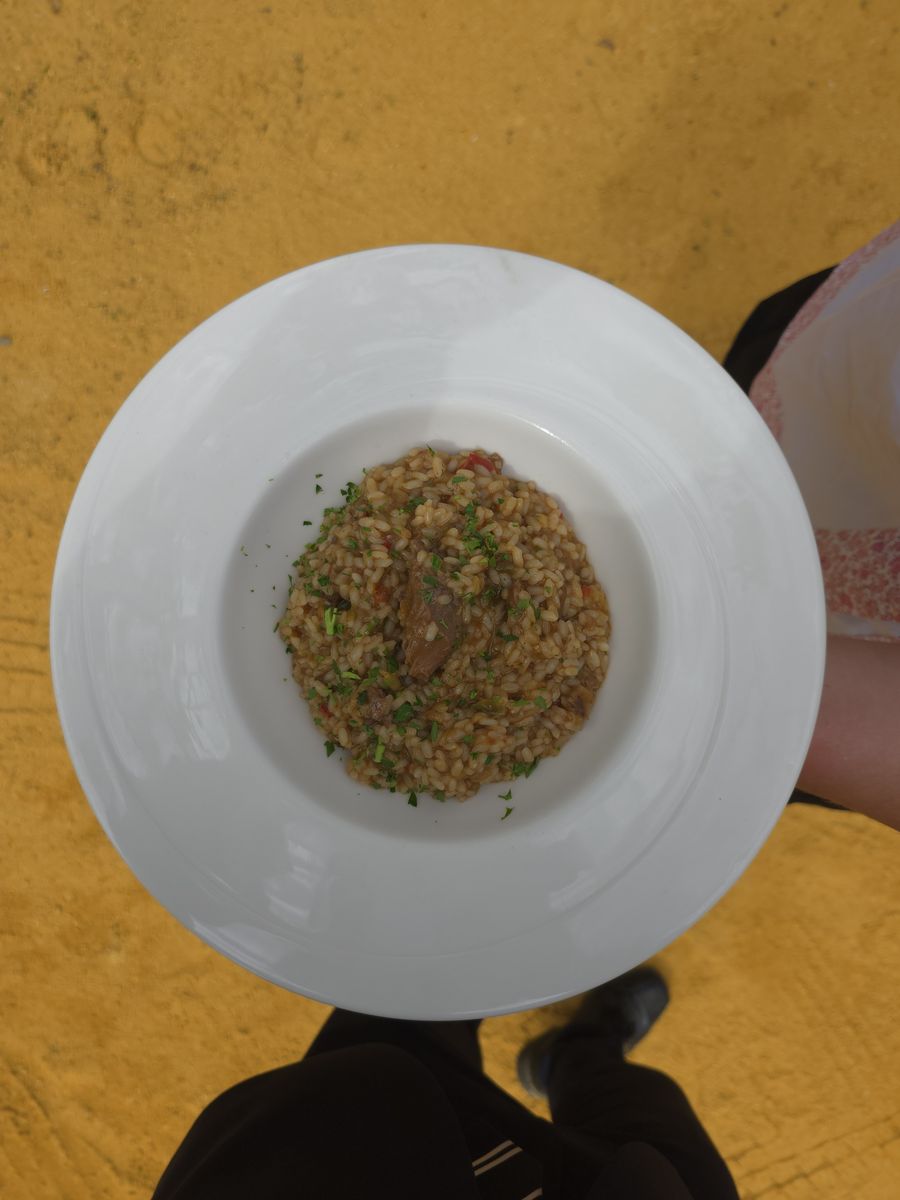 Arroz meloso servido en plato hondo durante un evento de catering en Sevilla